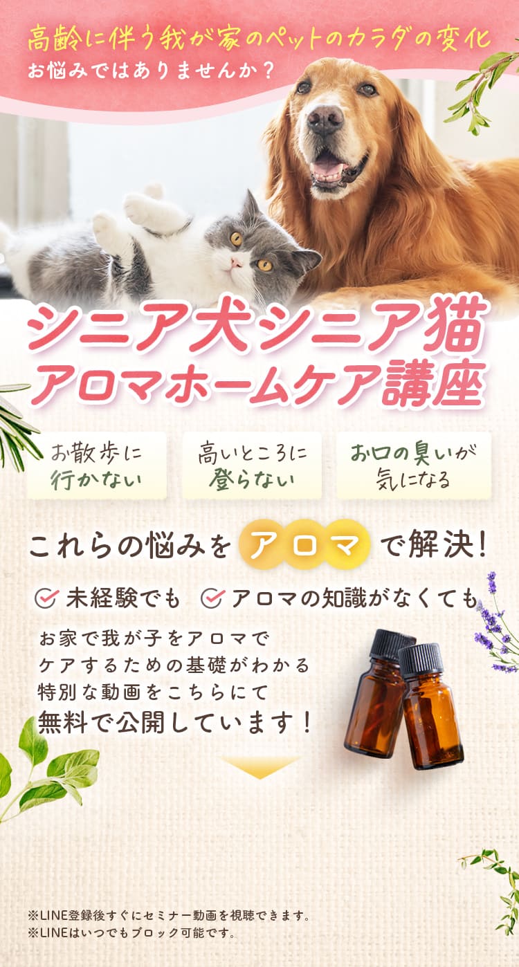 高齢だからって元気にしてあげること諦めていませんか？あなたの優しさと自然の力で小さな奇跡をシニア犬シニア猫アロマホームケア養成講座アロマオイルを活用して自然治癒力を高めるヒミツを大公開