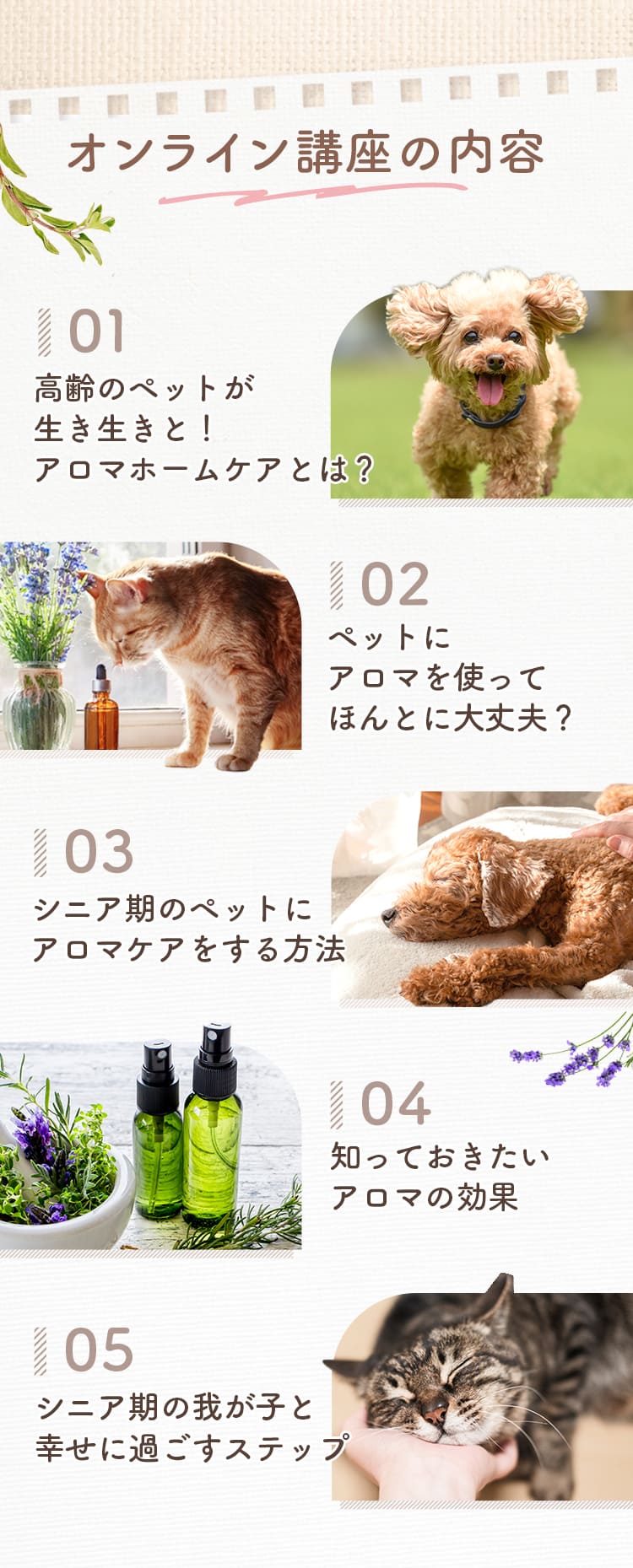 オンライン講座の内容