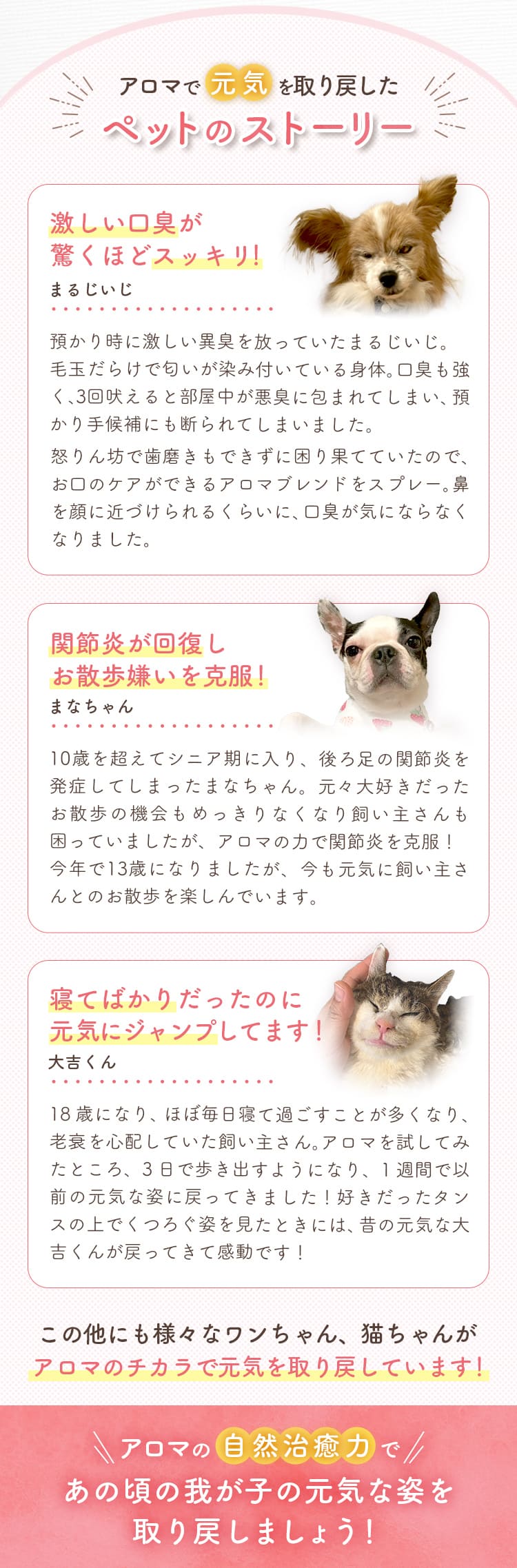 ペットのストーリー